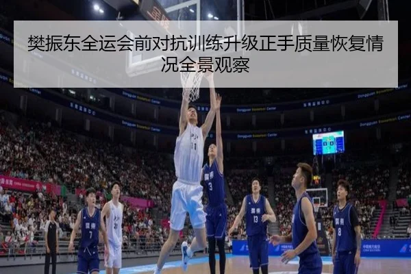 樊振东全运会前对抗训练升级正手质量恢复情况全景观察